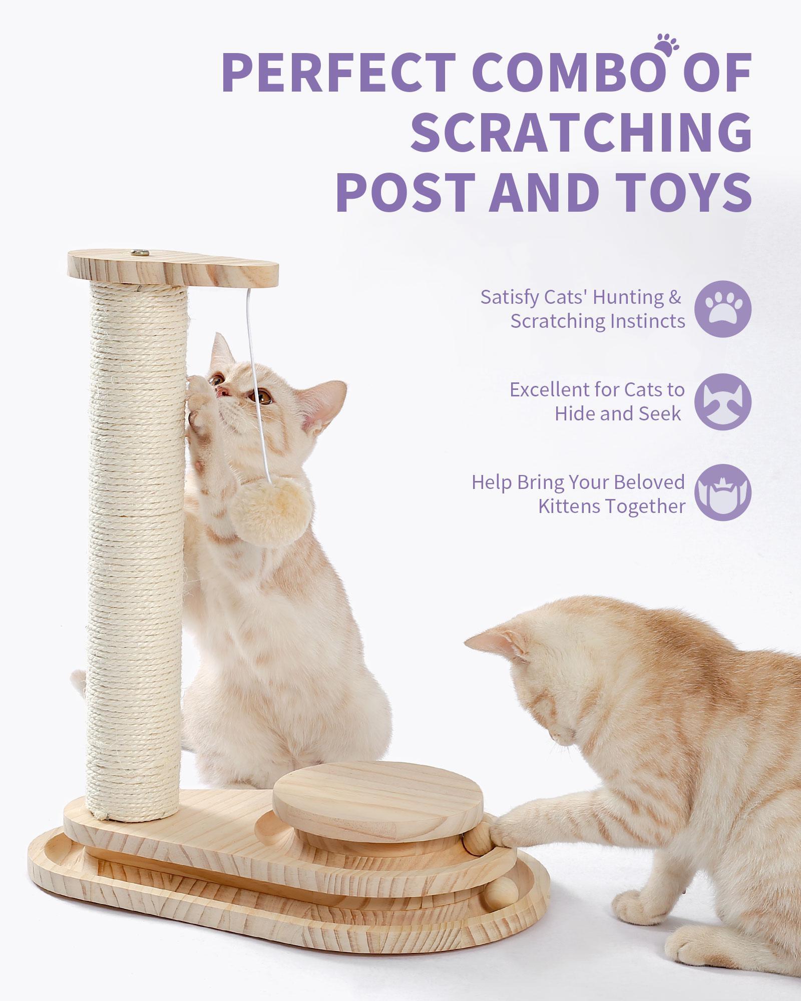Indoor Cat Soft Scratching Board And Interactive Ball by VetsPetStore