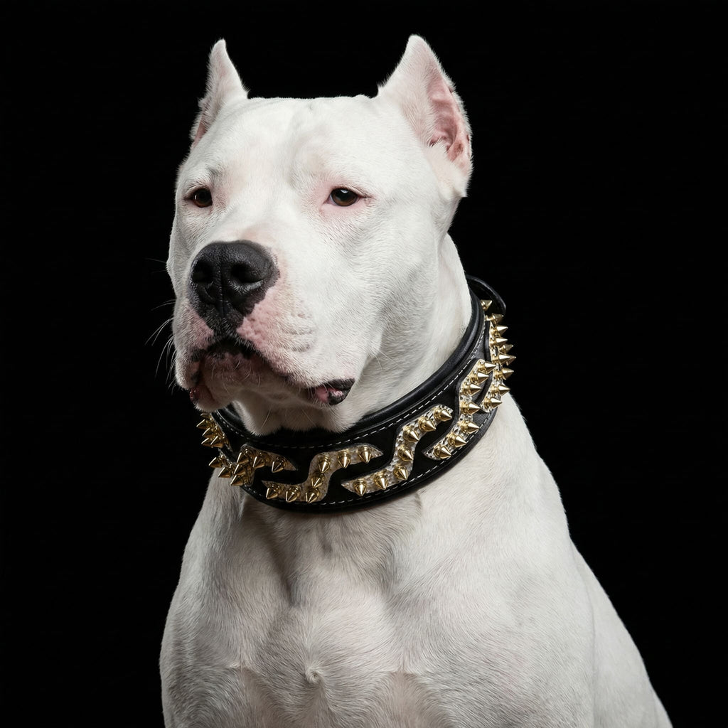 The ''Platinum'' collar by Bestia Dog Gear