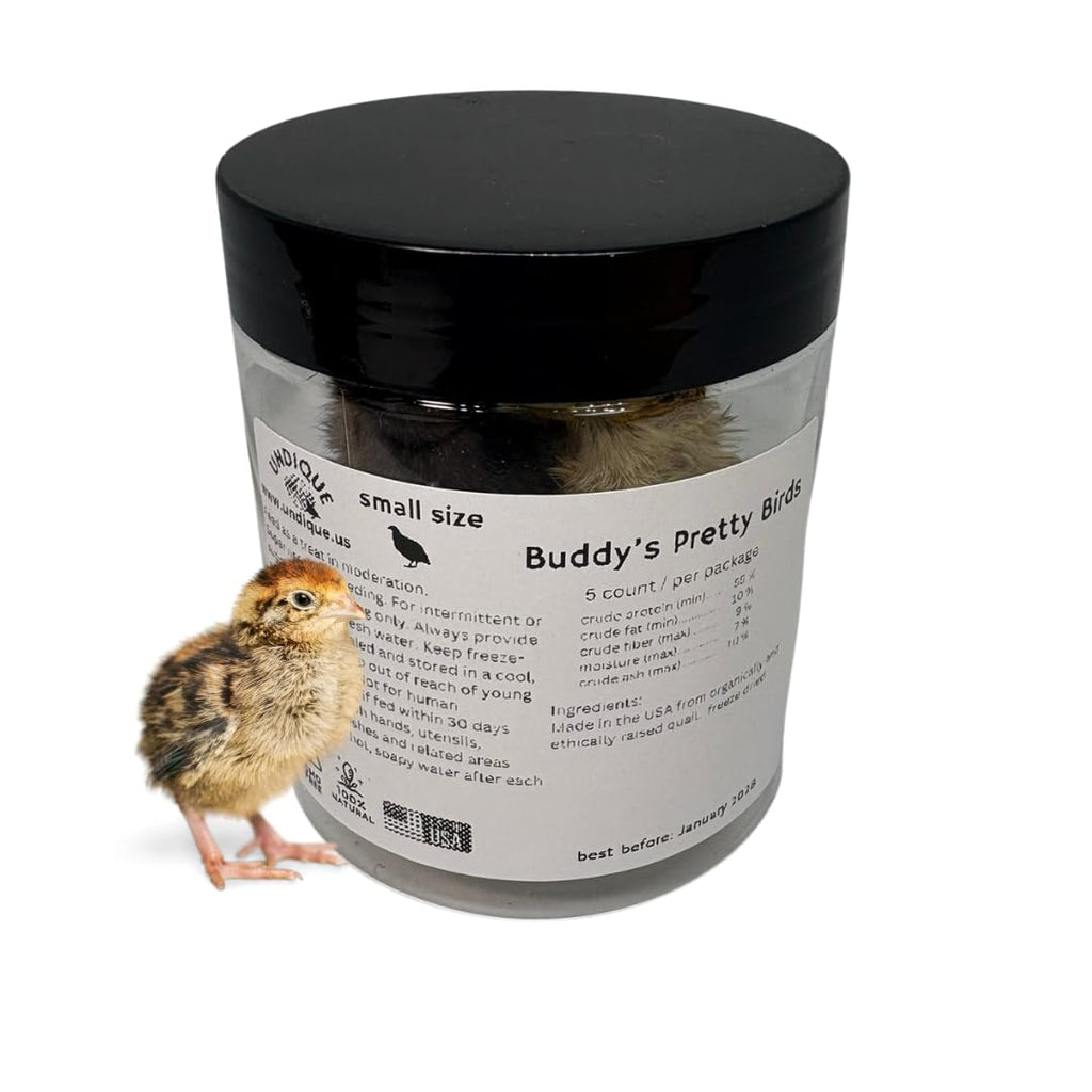 Whole Quail for Carnivore Pets - Premium Quality Natural Pet Treats Quail - Natural Prey Feeding Quail - Freeze-Dried for Essential Nutrients and Enzymes Small Size 5 Count by Quailz.com by Undique LLC