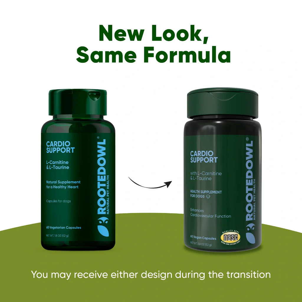 Cardio Support by Rooted Owl Pet Supplements