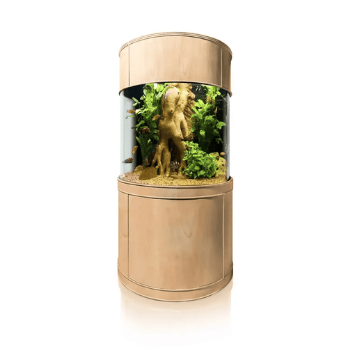 90 Gallon 3/4 Cylinder Glass Reef-Ready Aquarium Set in Unstained Wood Furniture by AQUA VIM