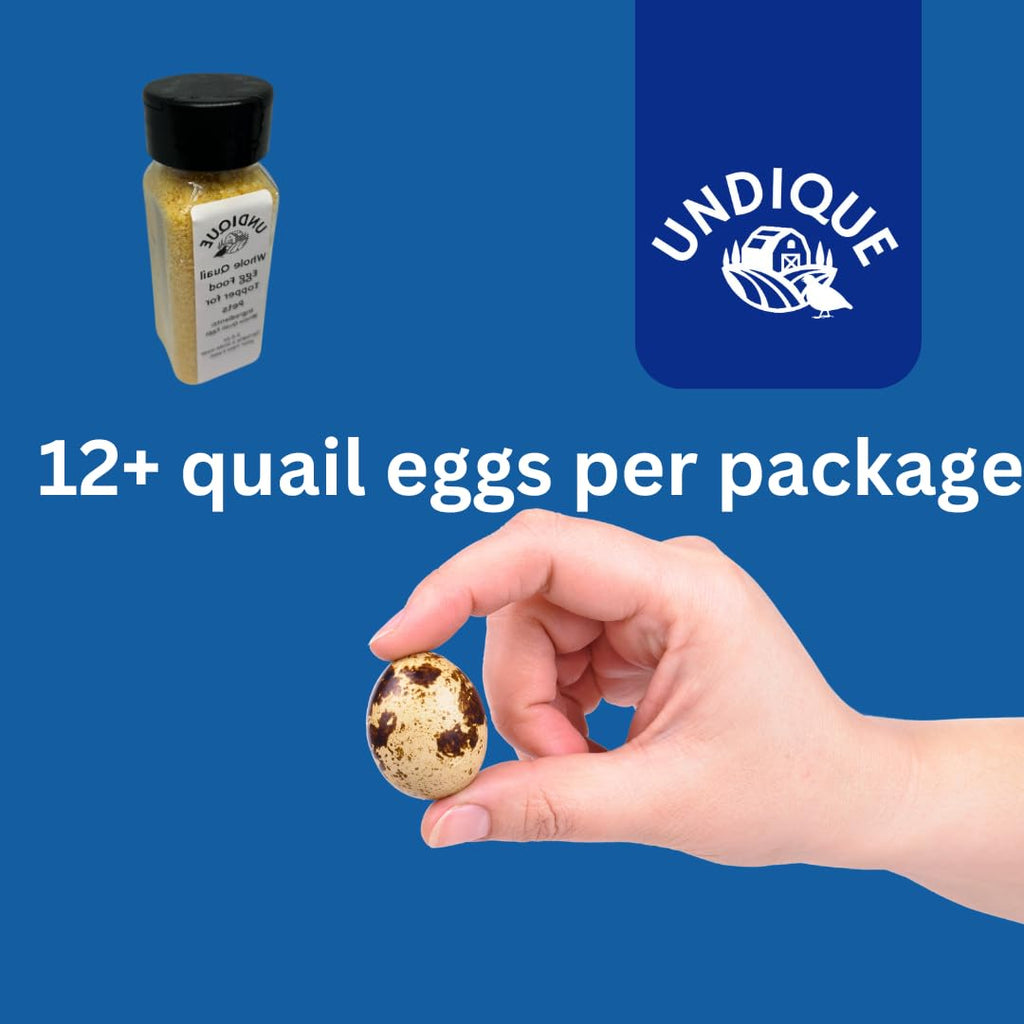 Quailicious Boost - Made in USA High-Protein Quail Egg Cat Food Topper, Freeze-Dried for Cat Digestive Health - Nutrient-Rich, Grain-Free Digestive Support for Cats, Ideal for Picky Eaters by Quailz.com by Undique LLC