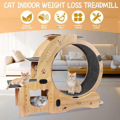 Cat Wheel 6-in-1 Cat Fitness Wheel by Love My Pet