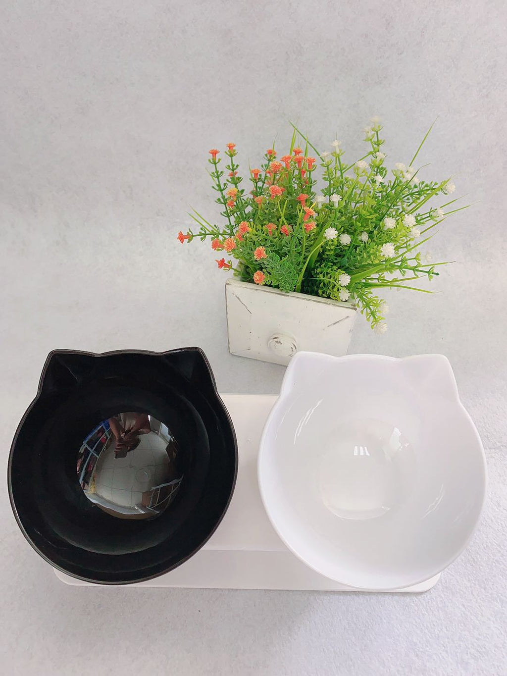 Cat Double Bowl Cat Food Bowl Protects Cervical Vertebra by VetsPetStore