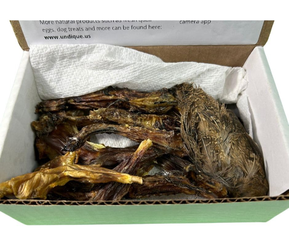 Quail Wing Dog Training Kit - Nutritious Dog Treats and Quail Wing for Effective Dog Training Sessions - Reinforce Positive Behaviors with Training Treats - Not Suitable for Small Breeds by Quailz.com by Undique LLC