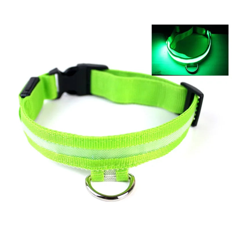Nylon LED Pet Dog Collar USB Charging by Love My Pet