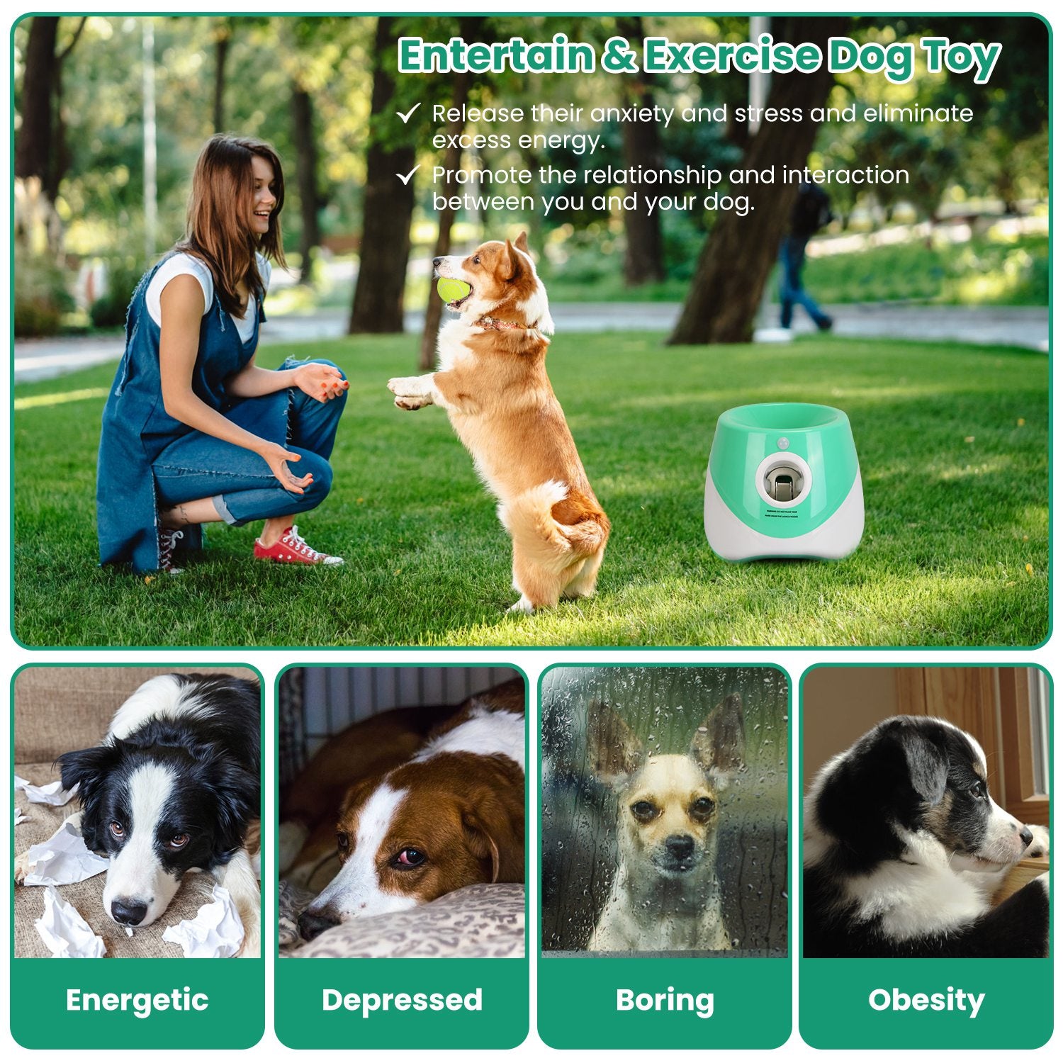 1Pc Automatic Dog Ball Launcher Included 6 Tennis Balls With 3 Adjustable Launch Distance by VetsPetStore