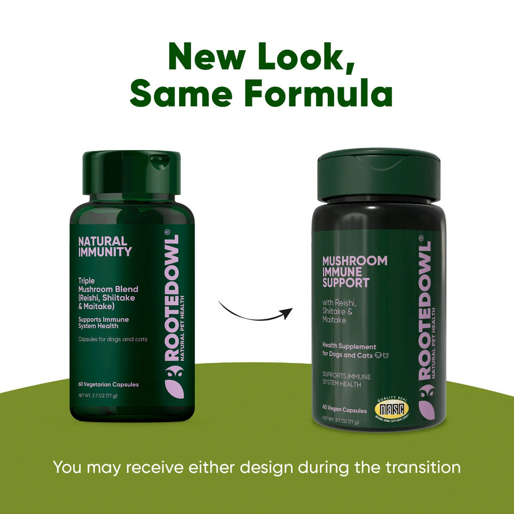 Mushroom Immune Support by Rooted Owl Pet Supplements