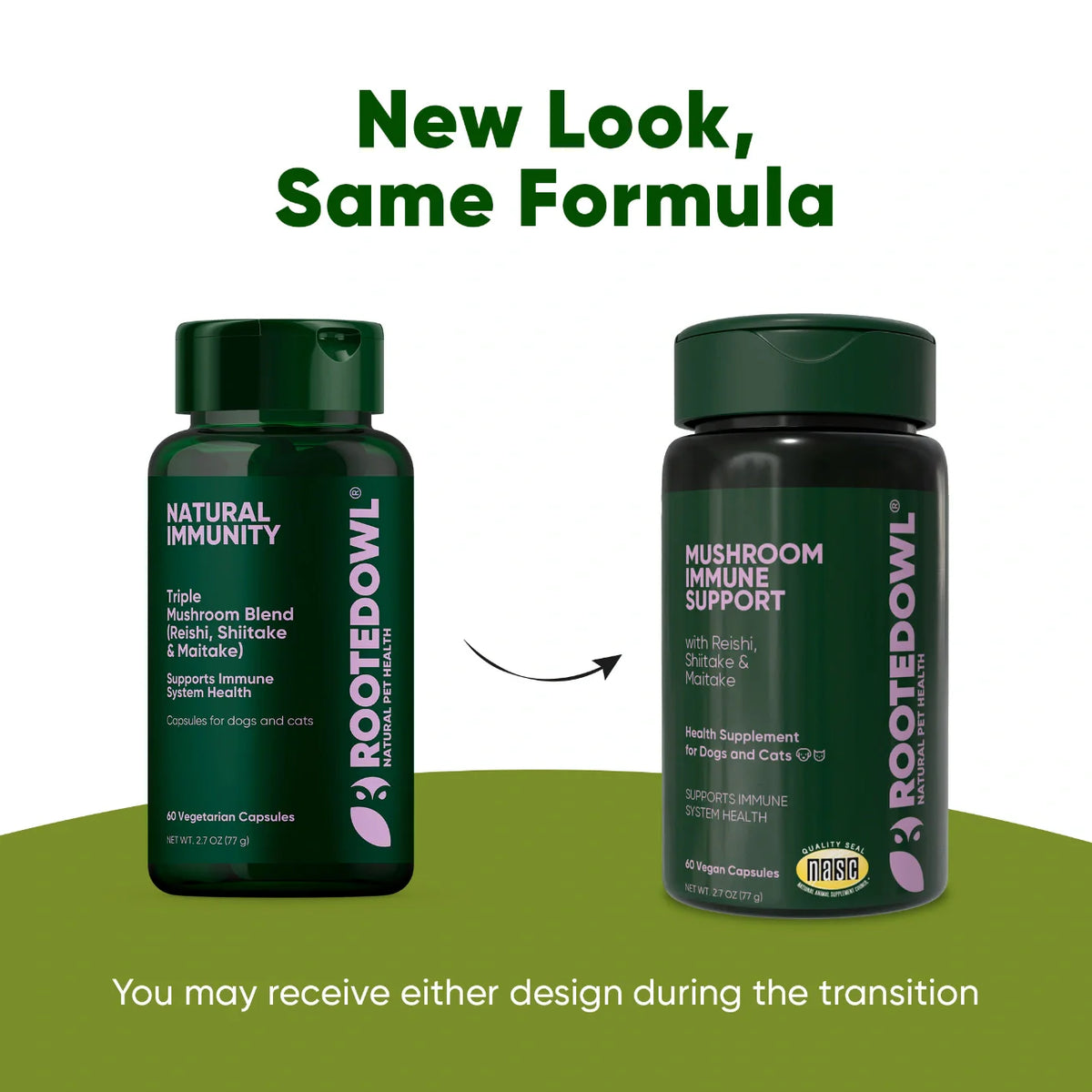 Mushroom Immune Support by Rooted Owl Pet Supplements