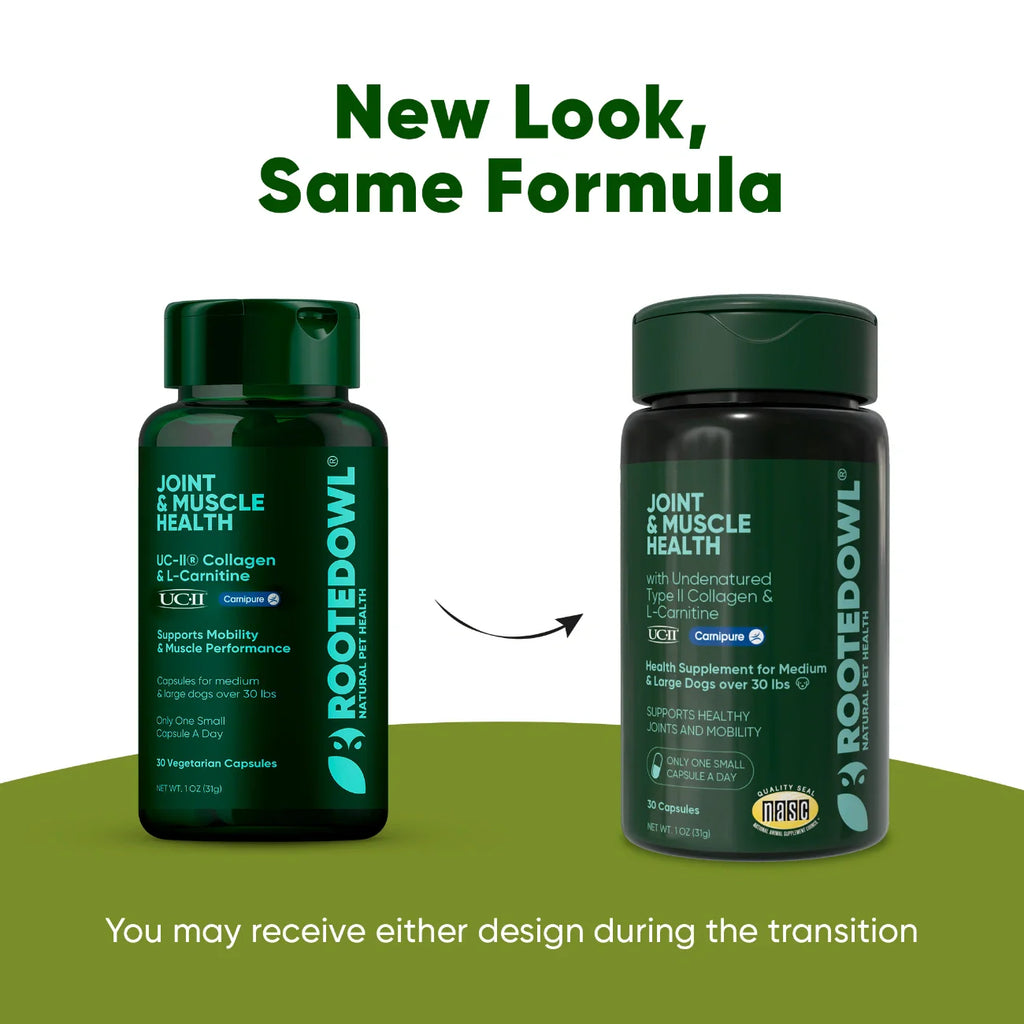 Joint & Muscle Health by Rooted Owl Pet Supplements