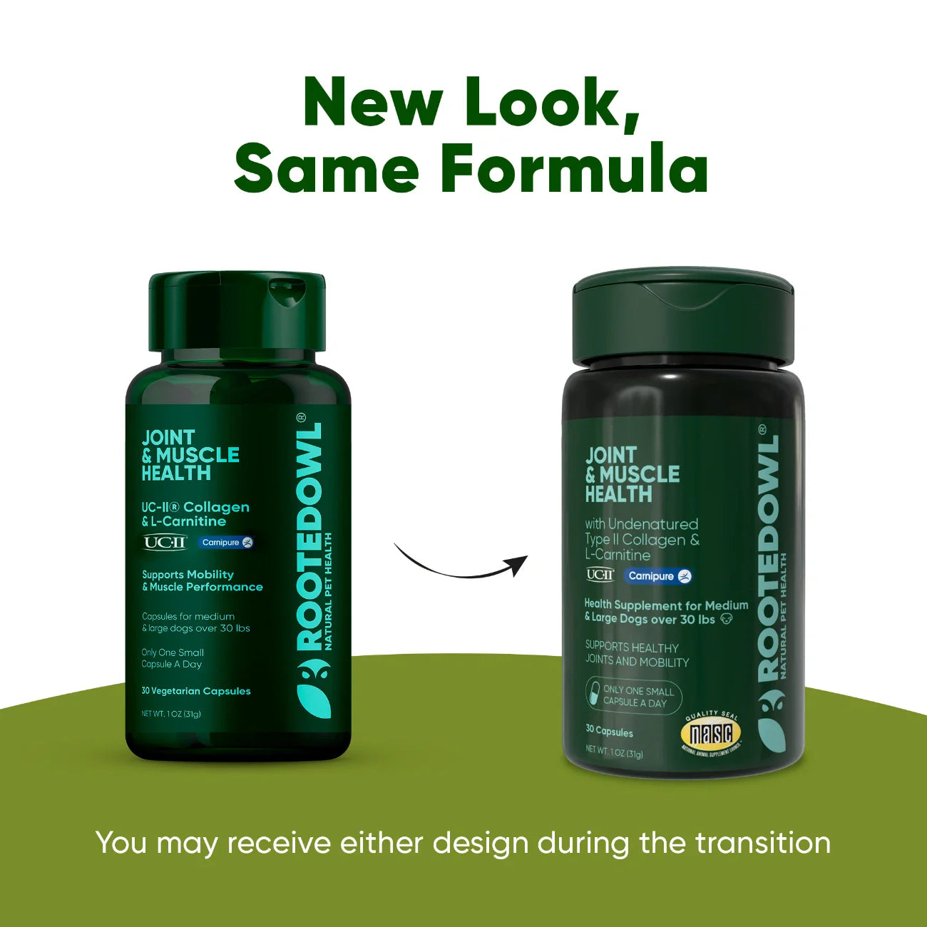 Joint & Muscle Health by Rooted Owl Pet Supplements
