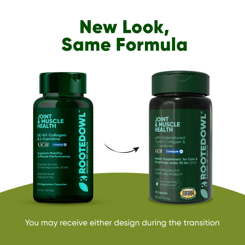 Joint & Muscle Health by Rooted Owl Pet Supplements