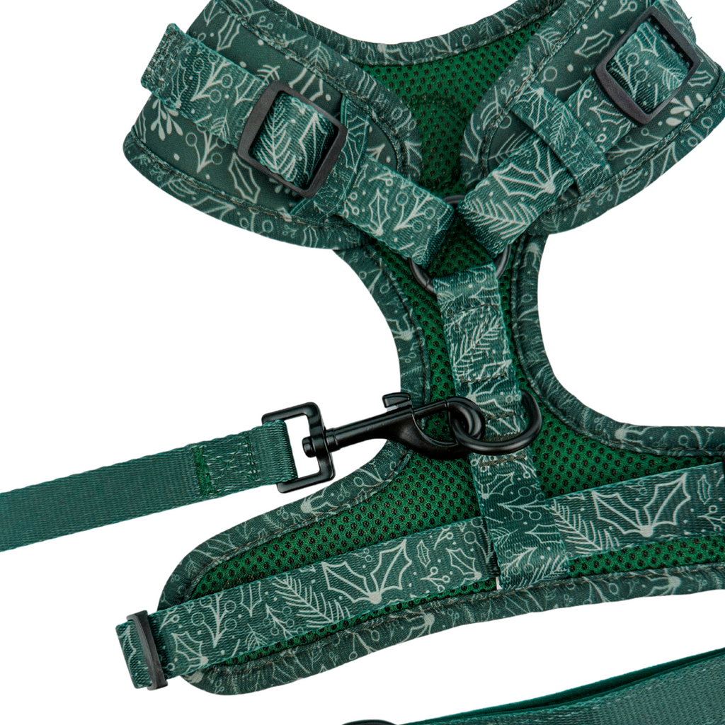 Evergreen Dream Leashes by EverWoof