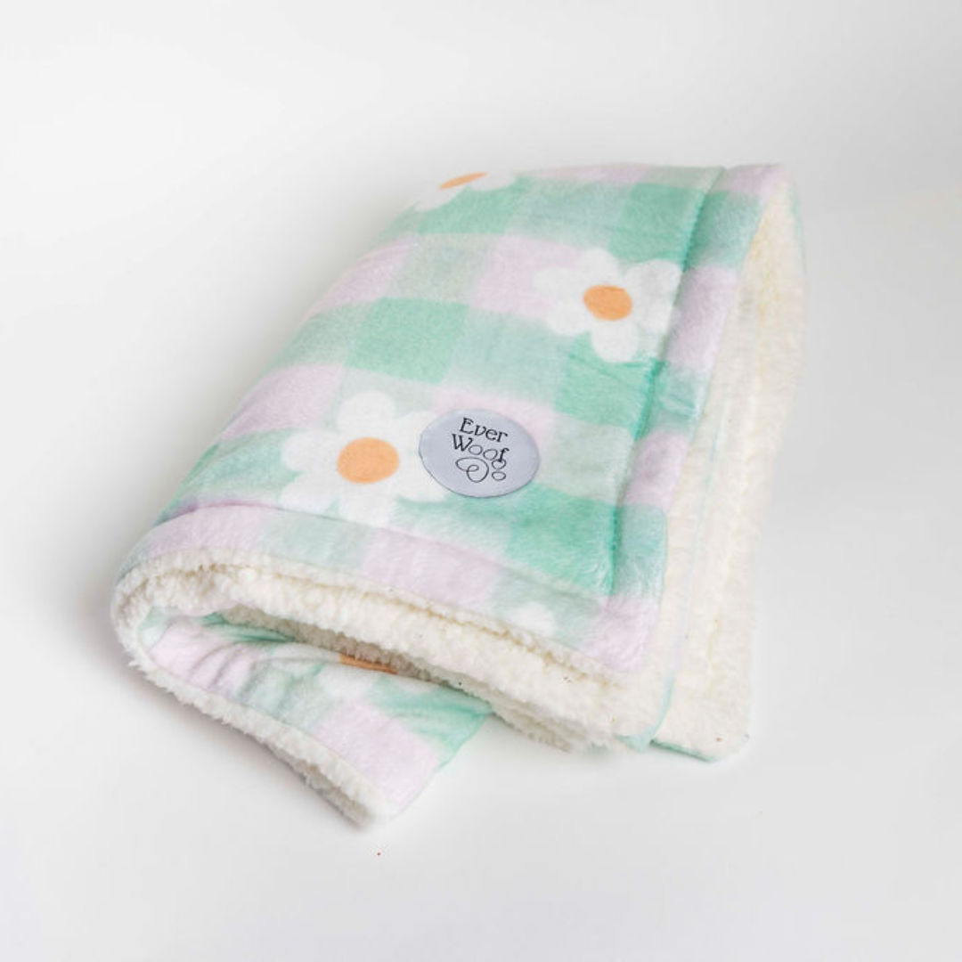 Oopsie Daisy Dog Blanket by EverWoof