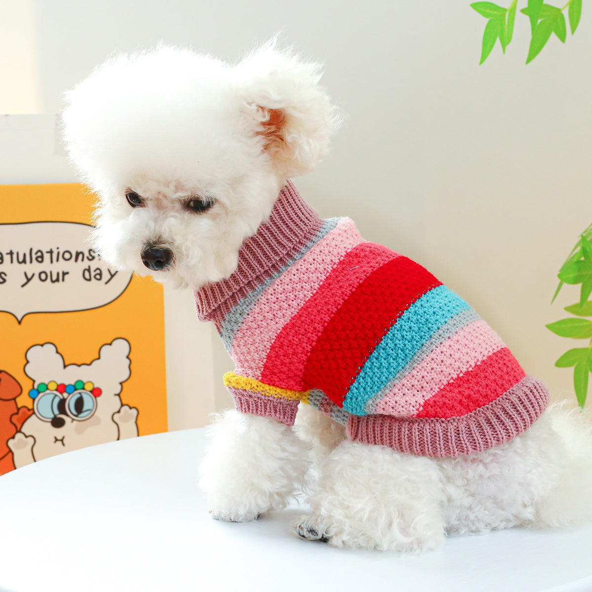 Comfortable Colorful Sweater by VetsPetStore