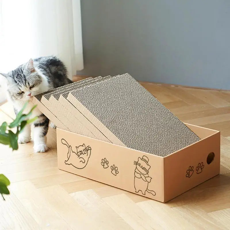Cat Scratcher Reversible Thick Bed 5 Packs by Love My Pet