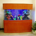 MONSTER TANK! 380 Gallon Seamless Glass Bowfront Reef-Ready Aquarium in Premium Cherry Real Wood Furniture by Northeast Aquariums LLC