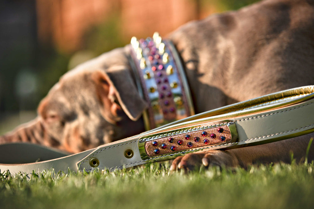 The Candy Leash by Bestia Dog Gear
