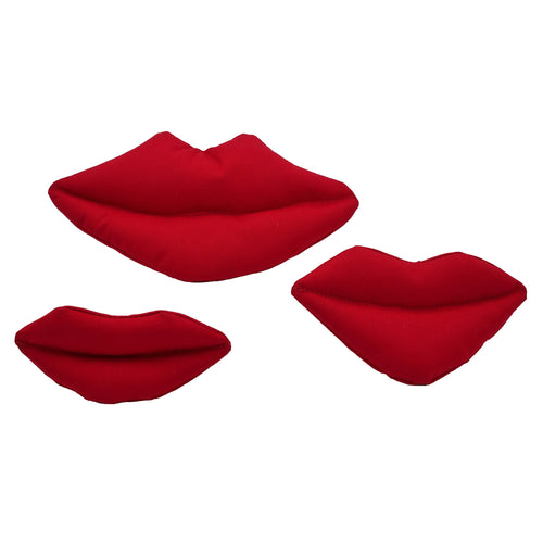 Big Red Lips by American Dog