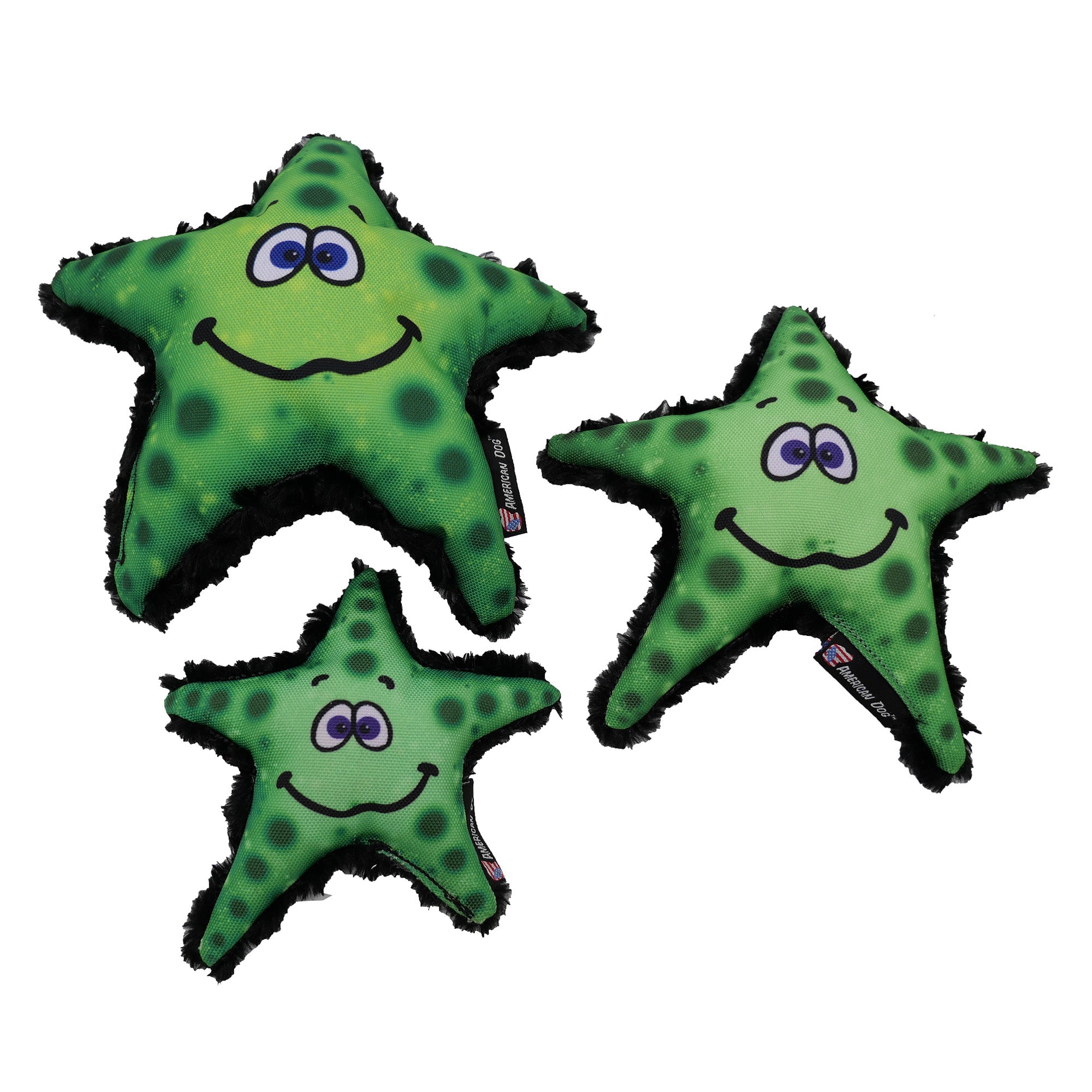 Stanley Starfish by American Dog