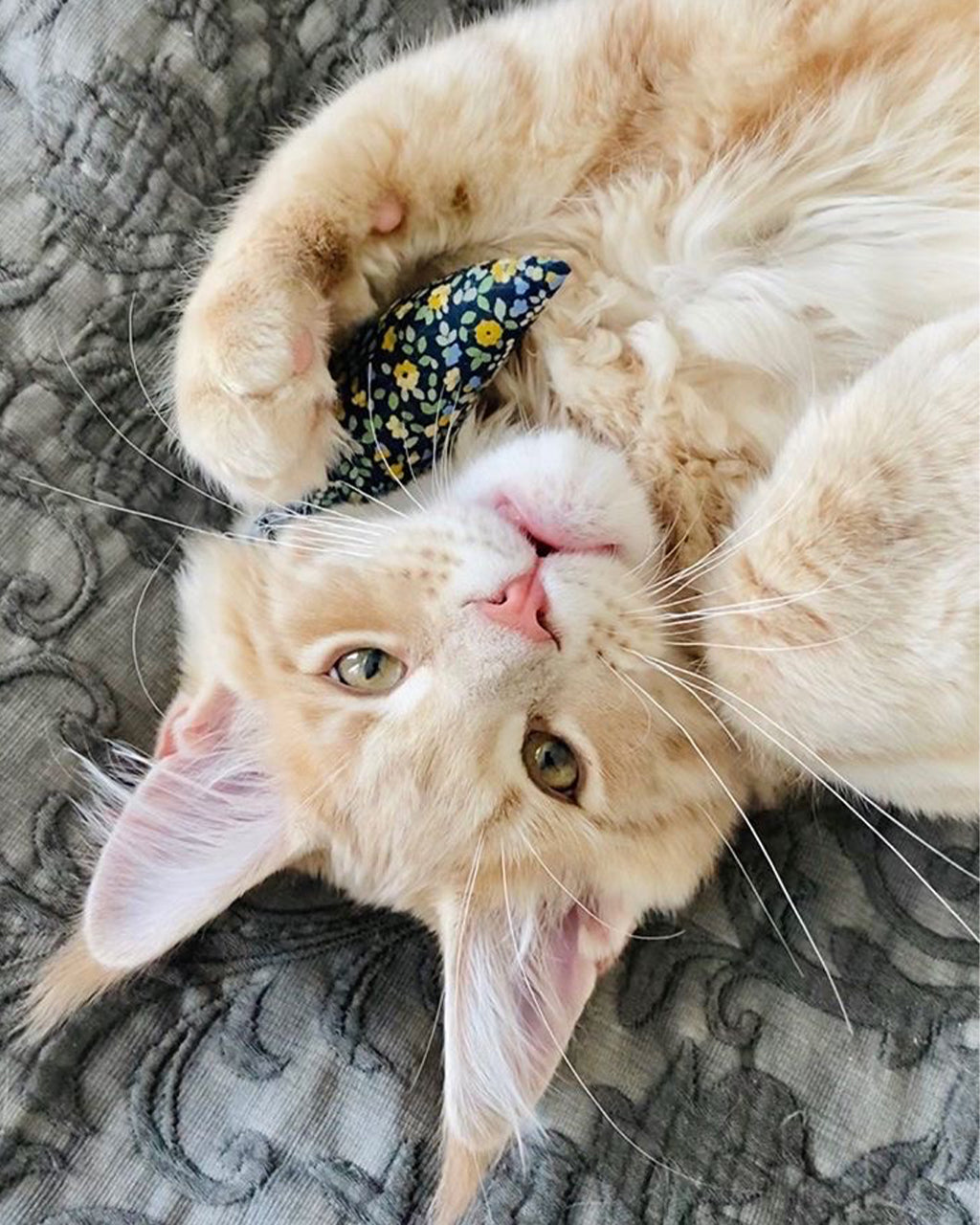MODERN MOUSE CATNIP TOY - FLORAL by MODERNBEAST