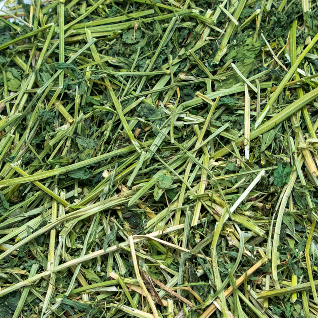 Rabbit Hole Hay Ultra Premium Alfalfa Hay by Rabbit Hole Hay