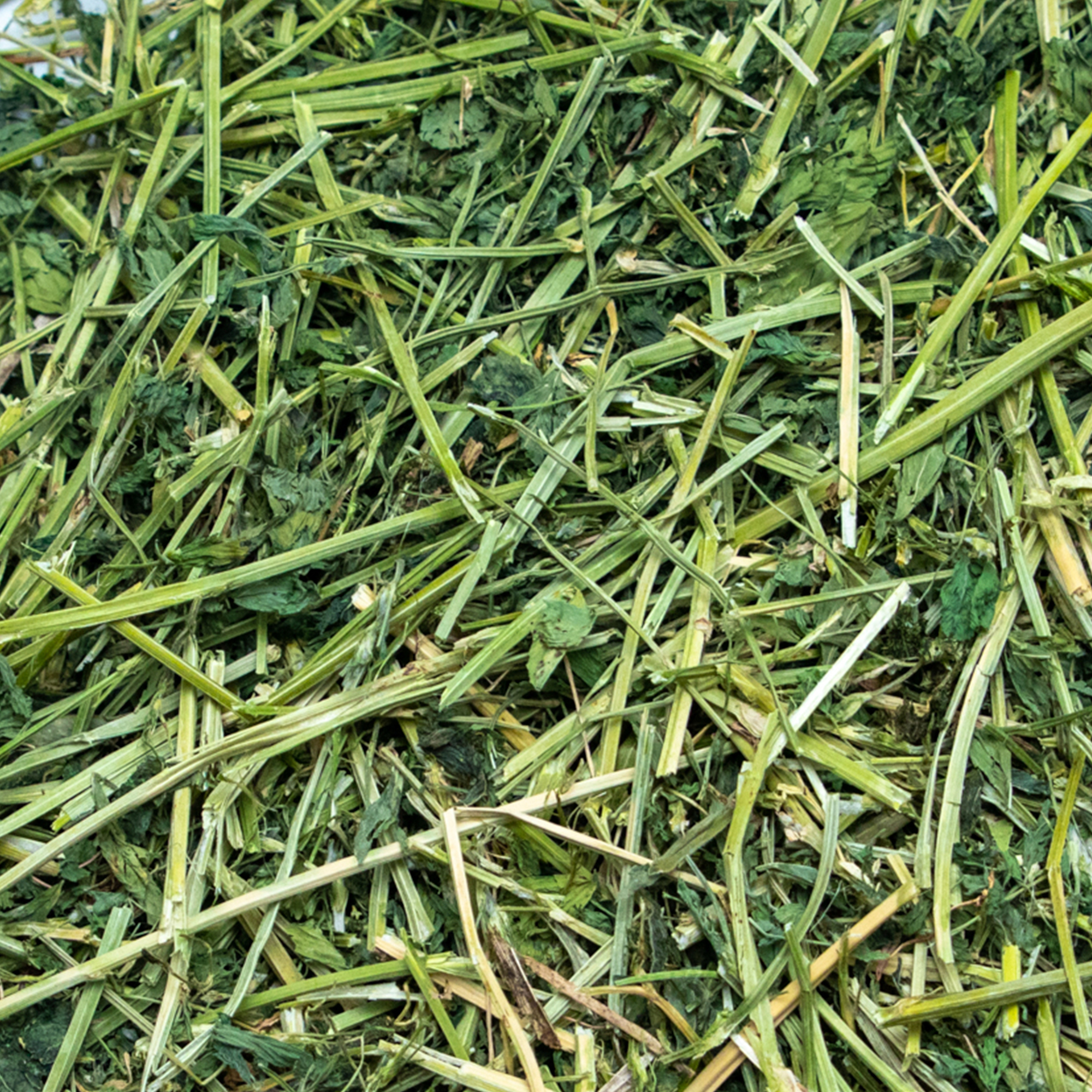 Rabbit Hole Hay Ultra Premium Alfalfa Hay by Rabbit Hole Hay