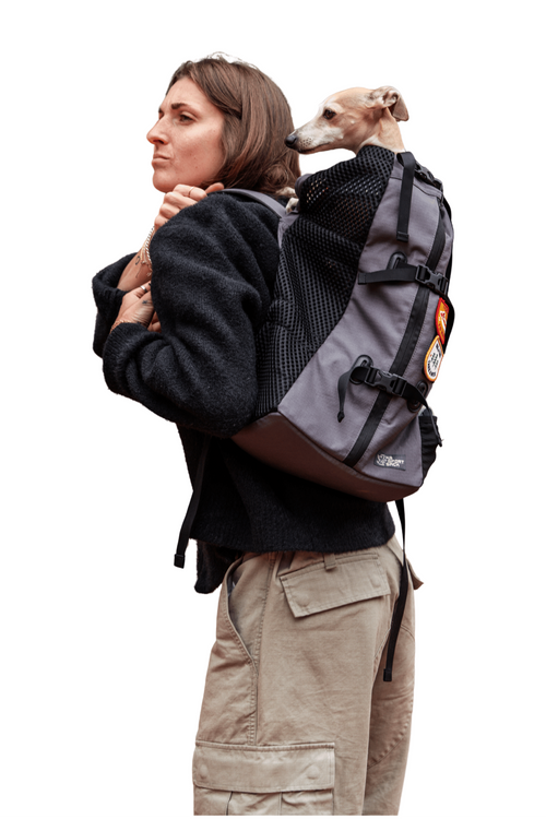Air | The Original Backpack Dog Carrier by K9 Sport Sack