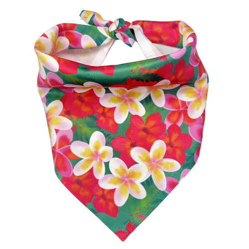 Aloha Dog Bandana by 2 Hounds Design