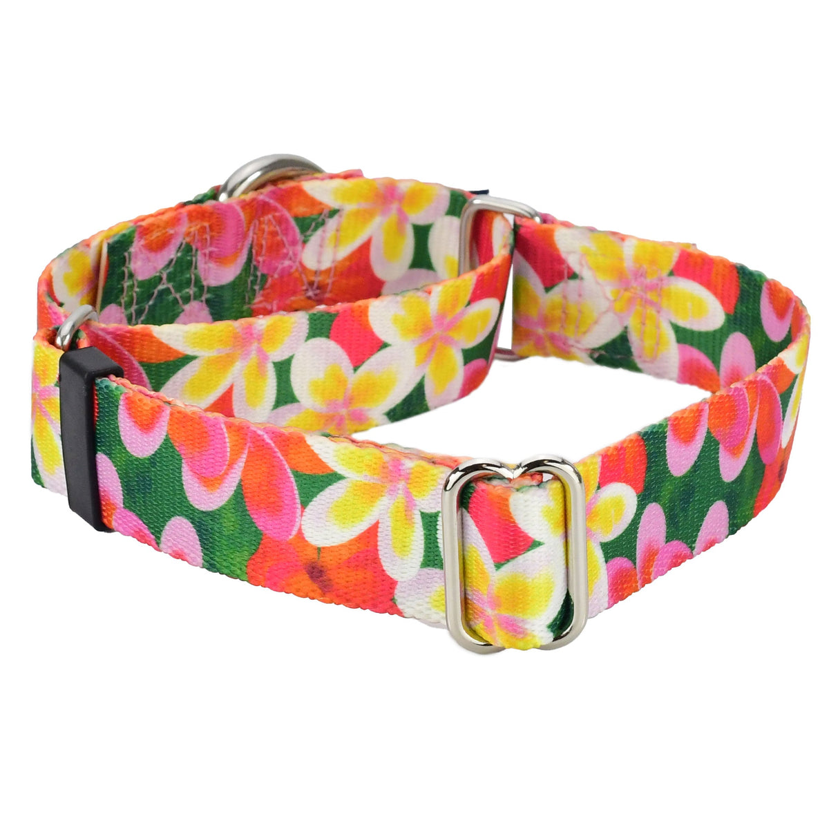 Aloha Martingale Dog Collar – EarthStyle by 2 Hounds Design