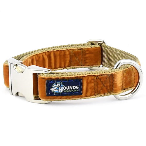 Antique Gold Velvet Essential Dog Collar by 2 Hounds Design