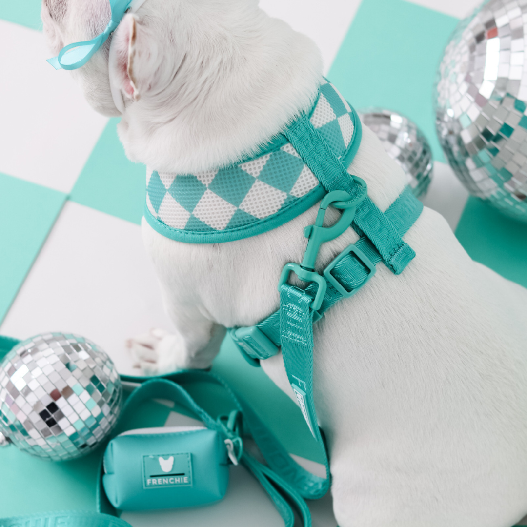 Frenchie Duo Reversible Harness - Solid Aqua by Frenchie Bulldog