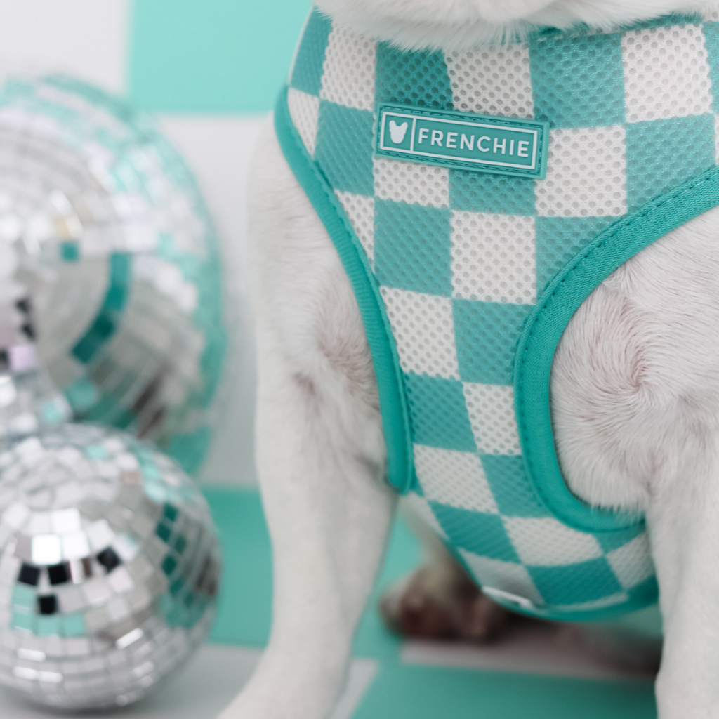 Frenchie Duo Reversible Harness - Solid Aqua by Frenchie Bulldog