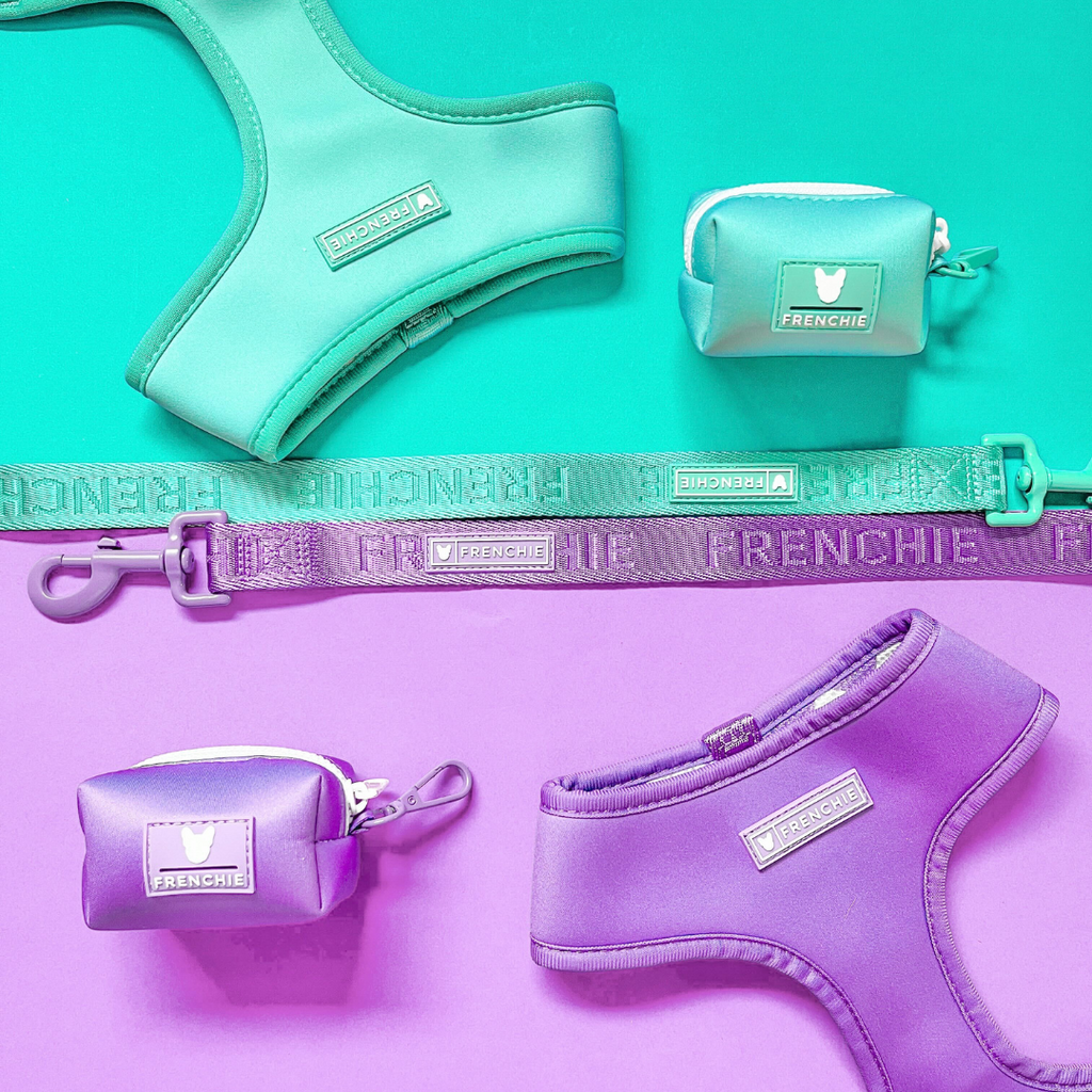 Frenchie Duo Reversible Harness - Solid Aqua by Frenchie Bulldog