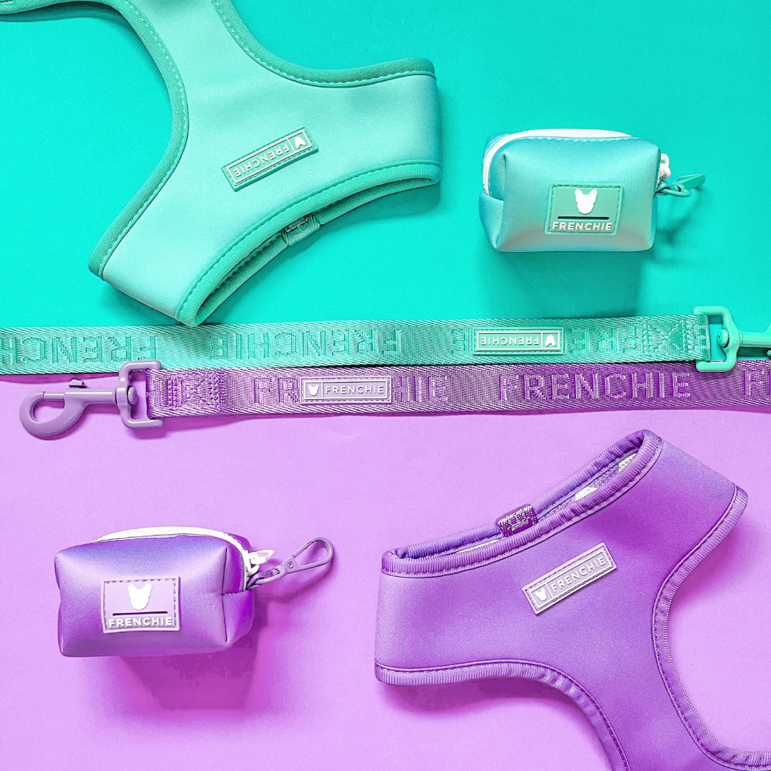 Frenchie Duo Reversible Harness - Solid Aqua by Frenchie Bulldog