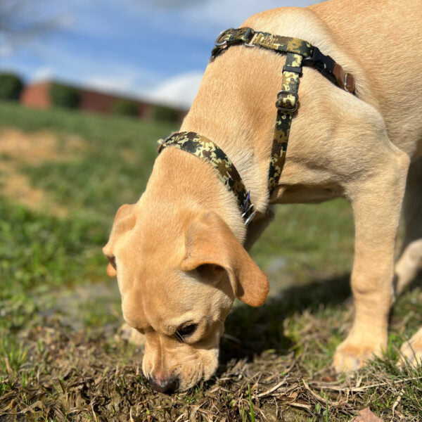 Archie Loves Mud Freedom No-Pull Dog Harness – EarthStyle by 2 Hounds Design