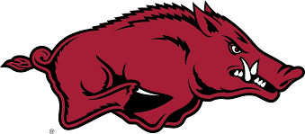 NCAA University of Arkansas, Tusk the Razorback Knottie® Plush Dog Toy by HuggleHounds