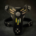 The Atlantis Harness by Bestia Dog Gear