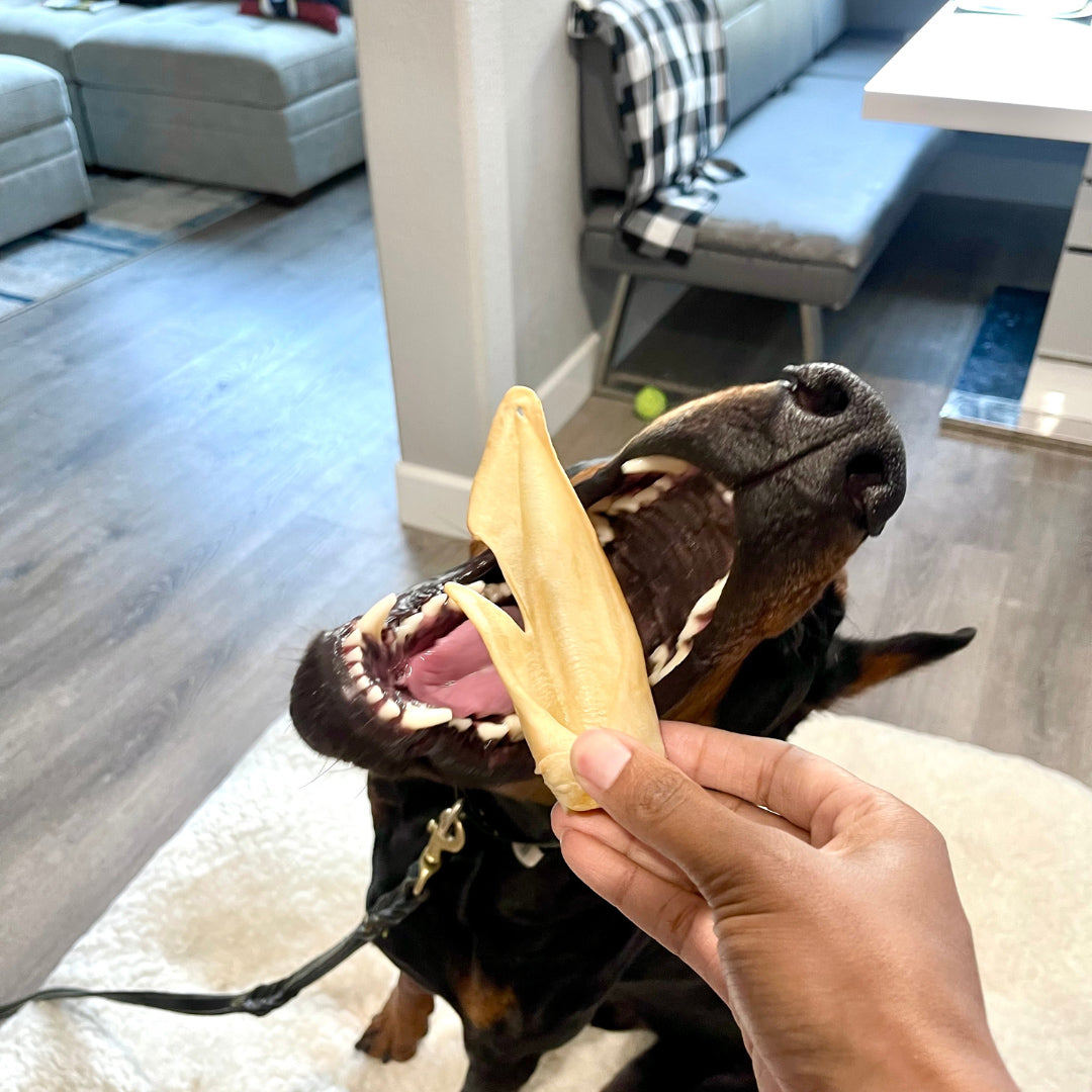 Natural Dog Chews - Lamb Ears by Ava's Pet Palace