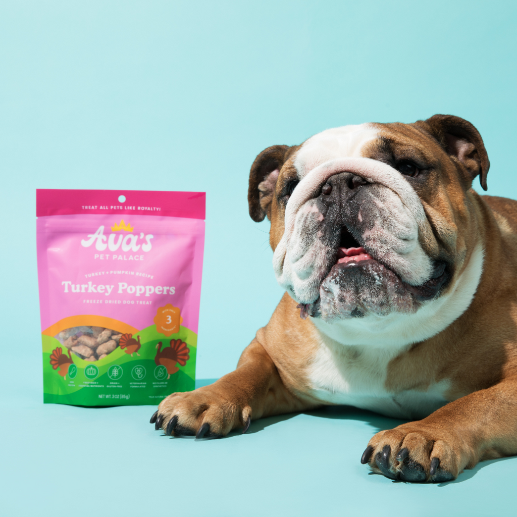 Freeze Dried Dog Treats - Turkey Poppers by Ava's Pet Palace
