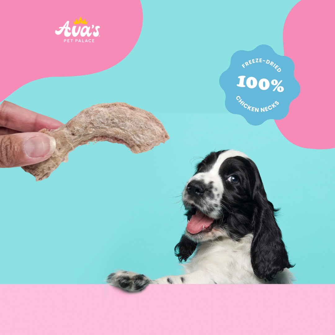 Freeze Dried Chicken Neck - Chicken Twists by Ava's Pet Palace