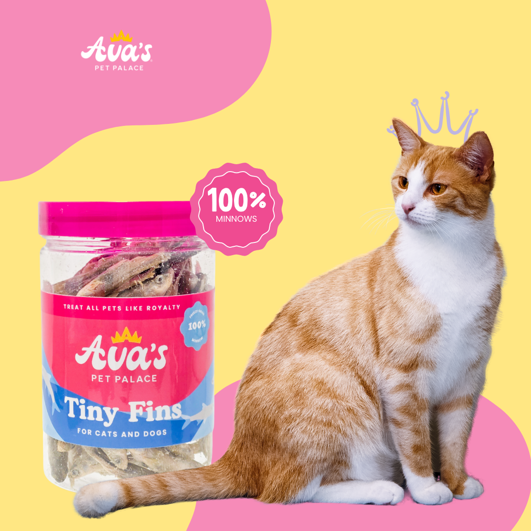 Freeze Dried Minnows - Tiny Fins by Ava's Pet Palace