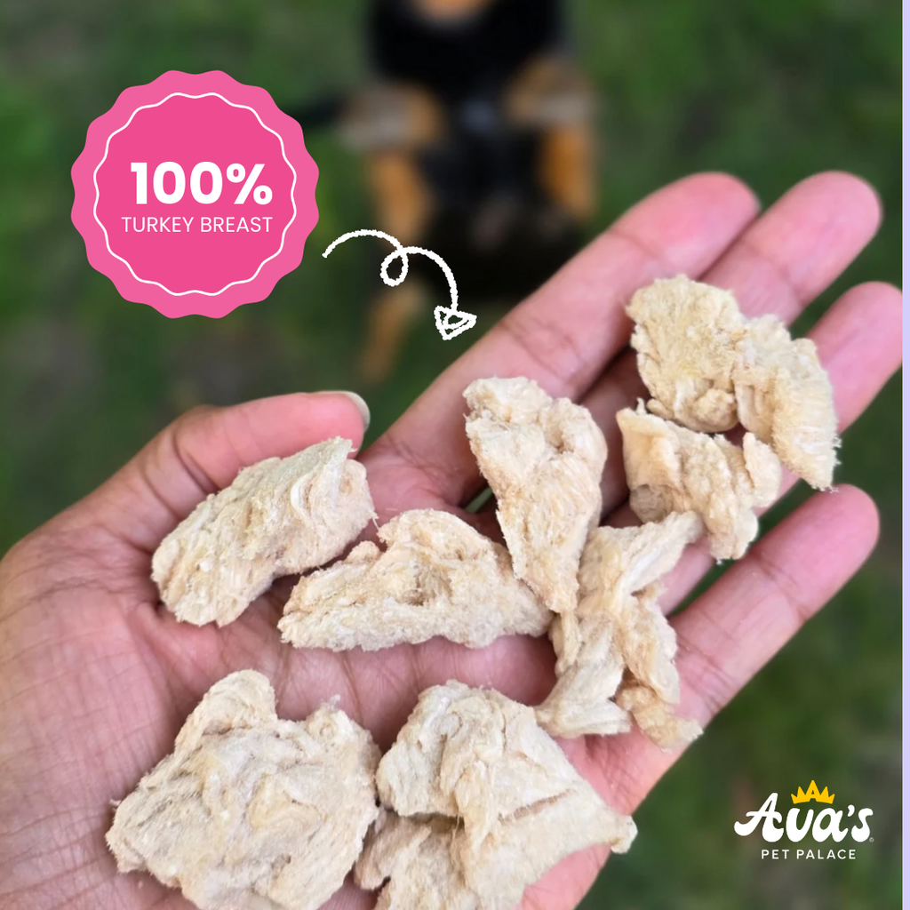 Freeze Dried T-Day Bites - Turkey Breast by Ava's Pet Palace