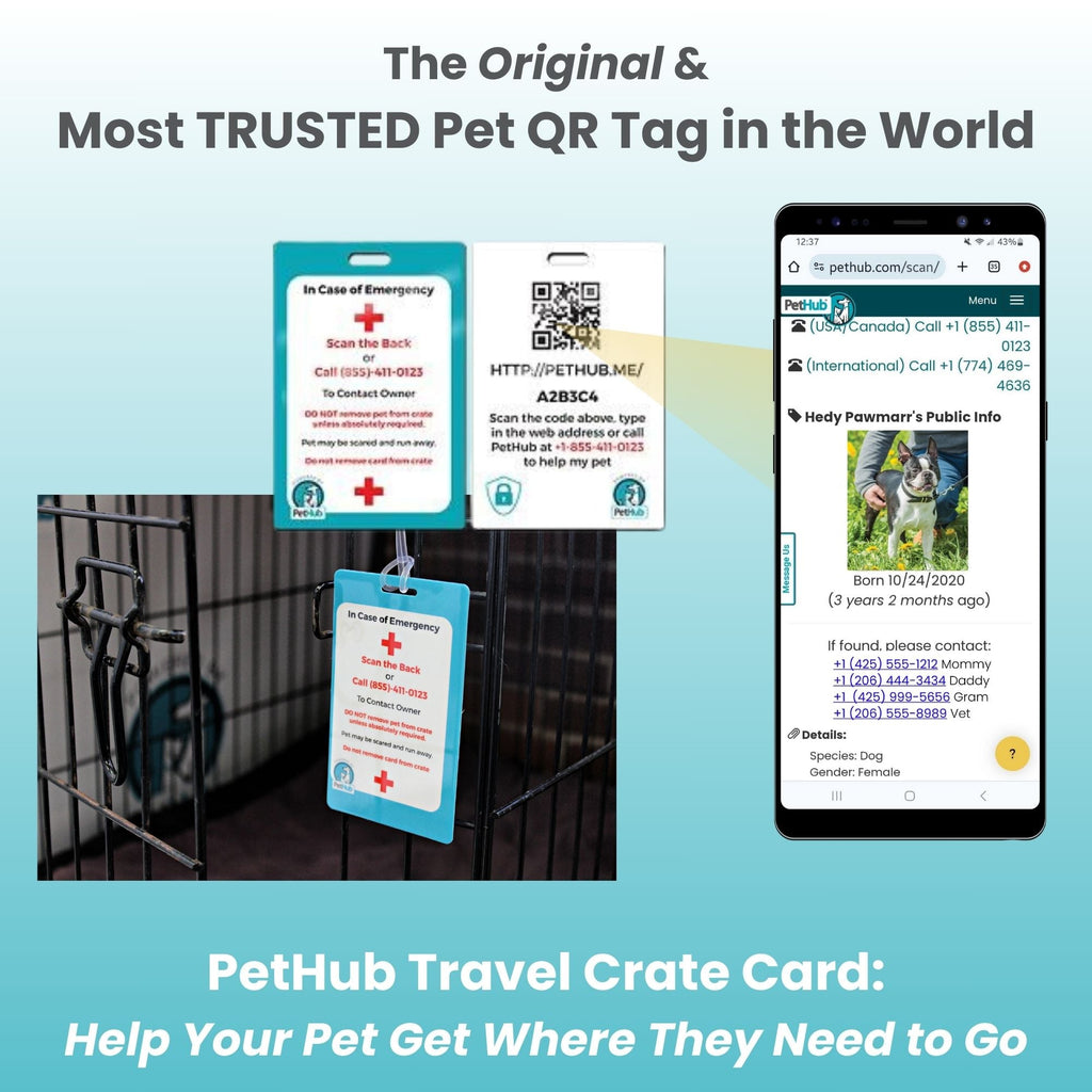QR Pet Comprehensive Identification: Mini ReadyKit by PetHub