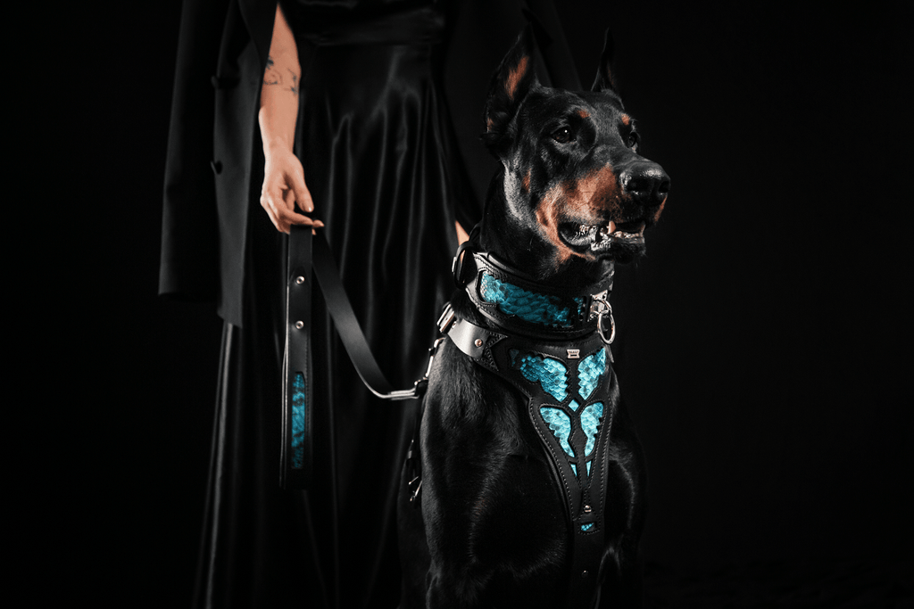 The ''Morelia Python'' harness by Bestia Dog Gear