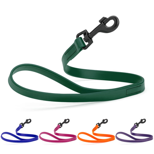 Biothane Waterproof Traffic Lead for Dogs, 2 ft by Dogline
