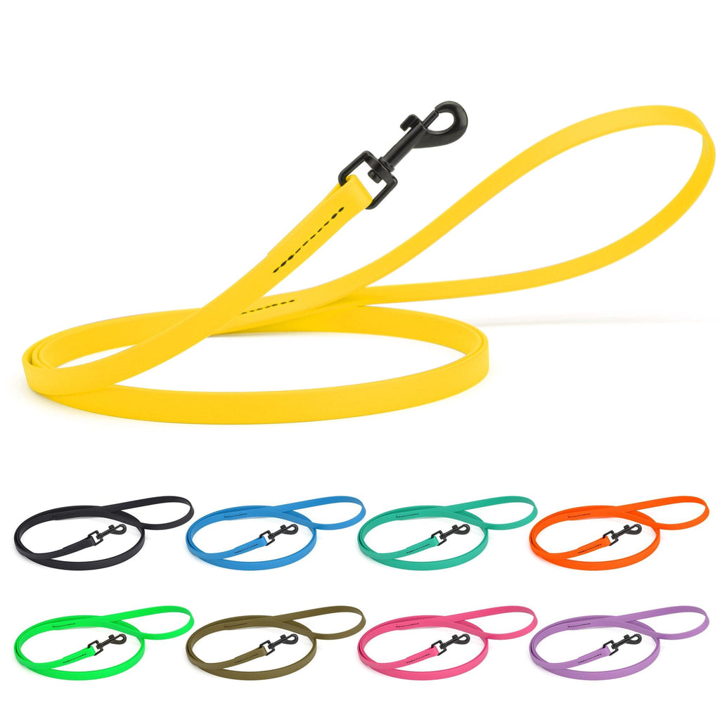 Biothane Waterproof Dog Leash, 4 ft by Dogline