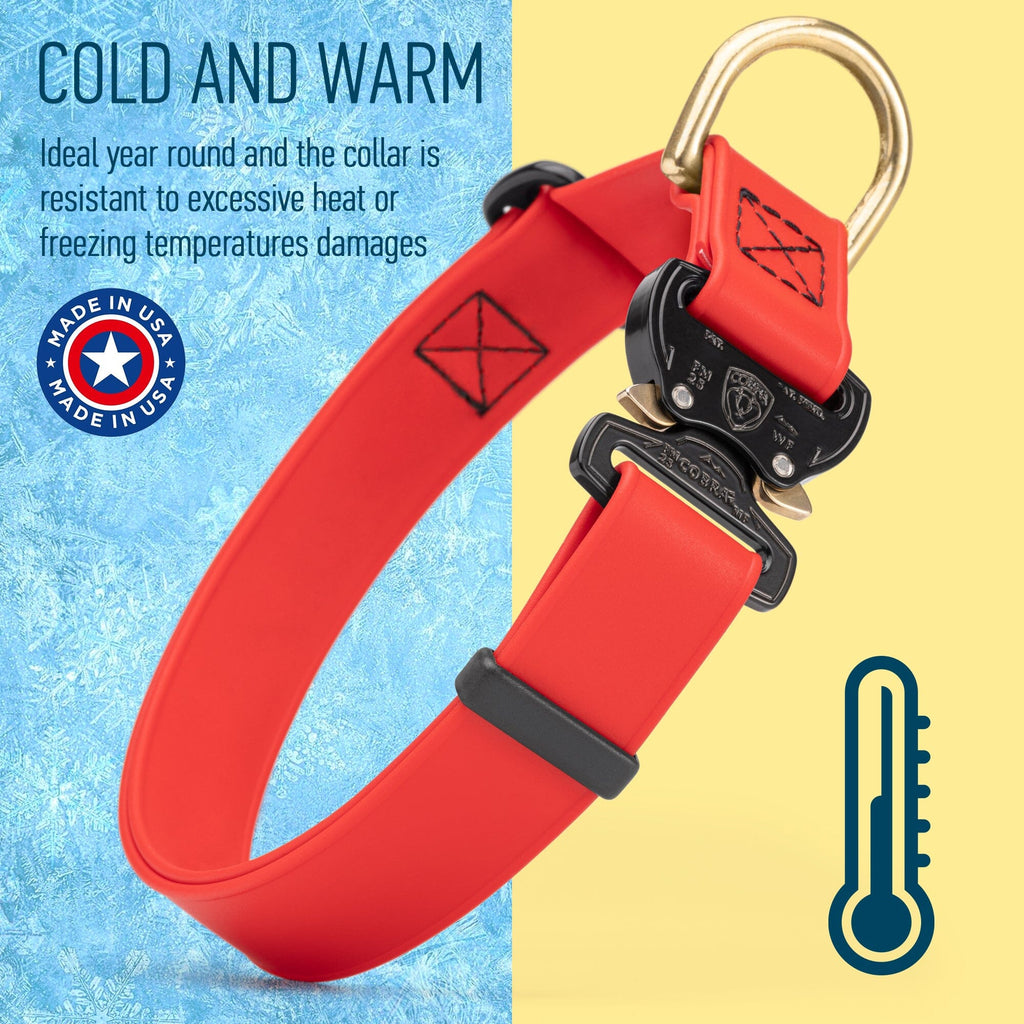 Viper BioThane Dog Collar with Cobra Metal Buckle – Odor Resistant and Waterproof by Dogline