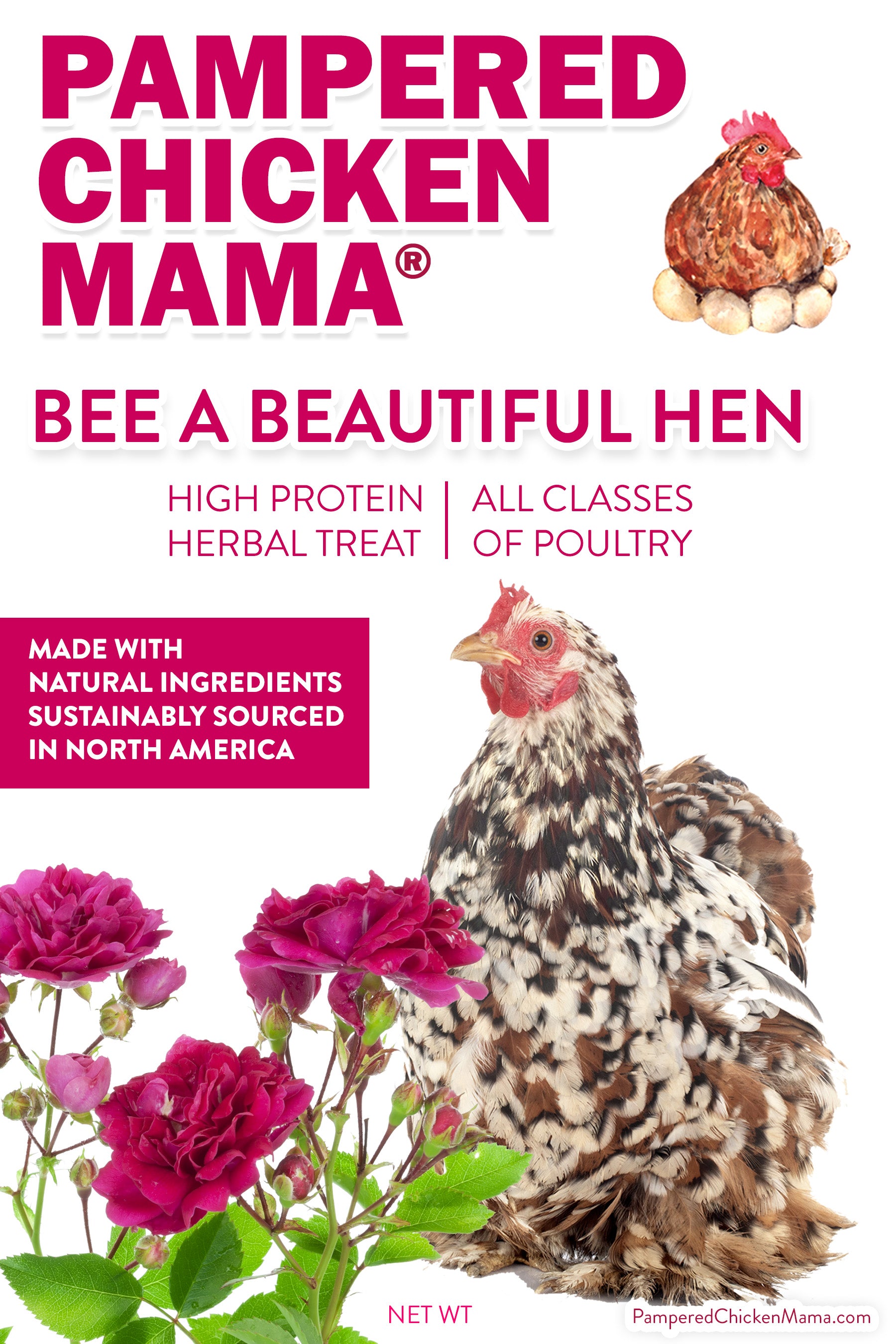 BEE A Beautiful Hen Herbal Treat With Mealworms, Wheat, & Rose Petals For Chickens by Dahlia Pets