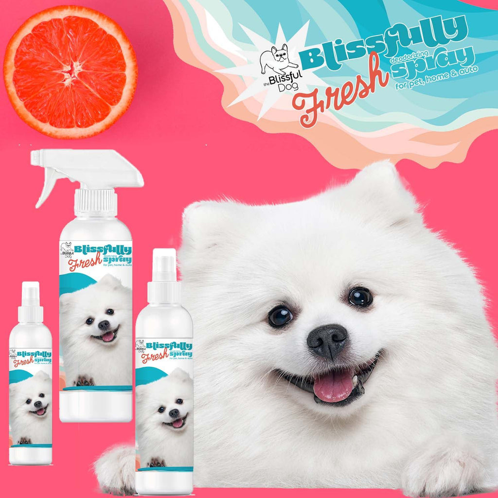 Blissfully Fresh™ Deodorizing Spray by The Blissful Dog